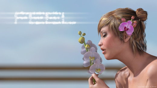 805604 (a): :1920x1080